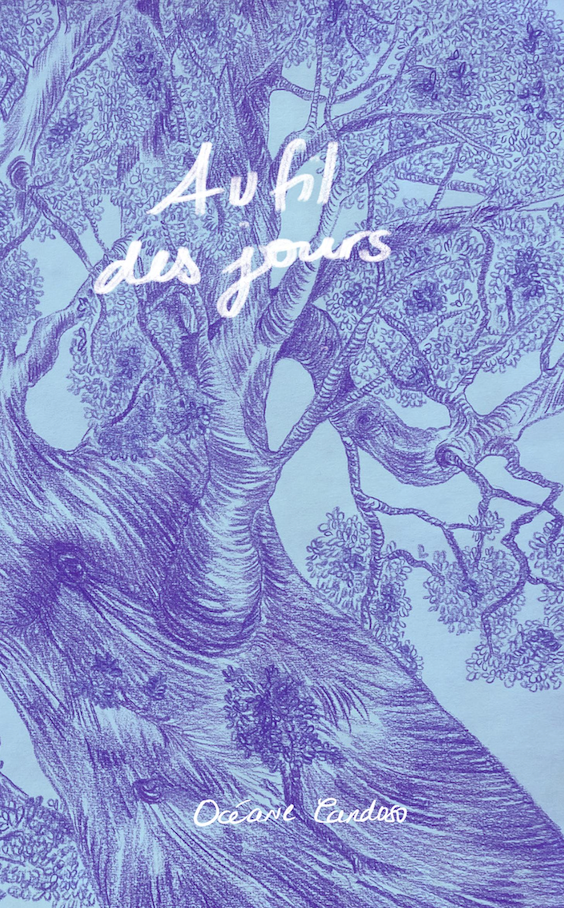 Au Fil Des Jours