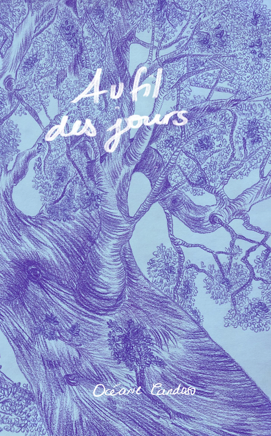 Au Fil Des Jours
